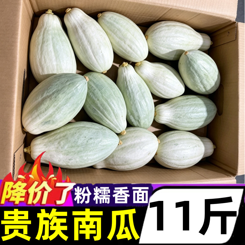 正宗贵族南瓜板栗新鲜11斤当季蔬菜金粉糯香甜南瓜辅食整箱