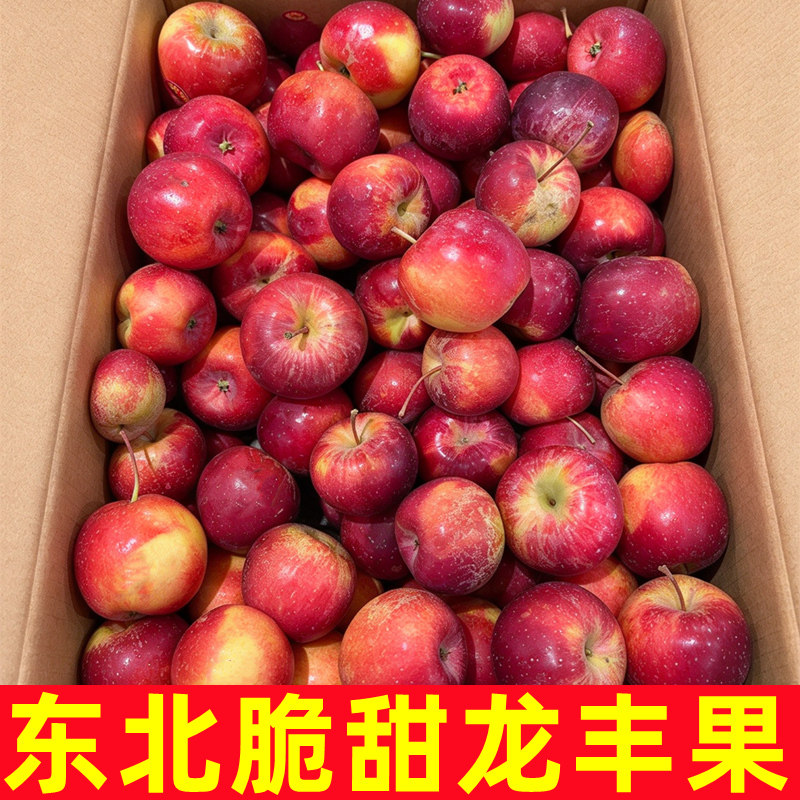 正宗东北龙丰果新鲜小苹果