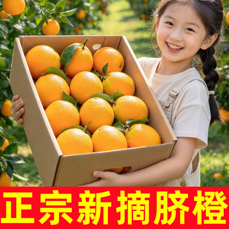 正宗新鲜脐橙9斤甜橙子