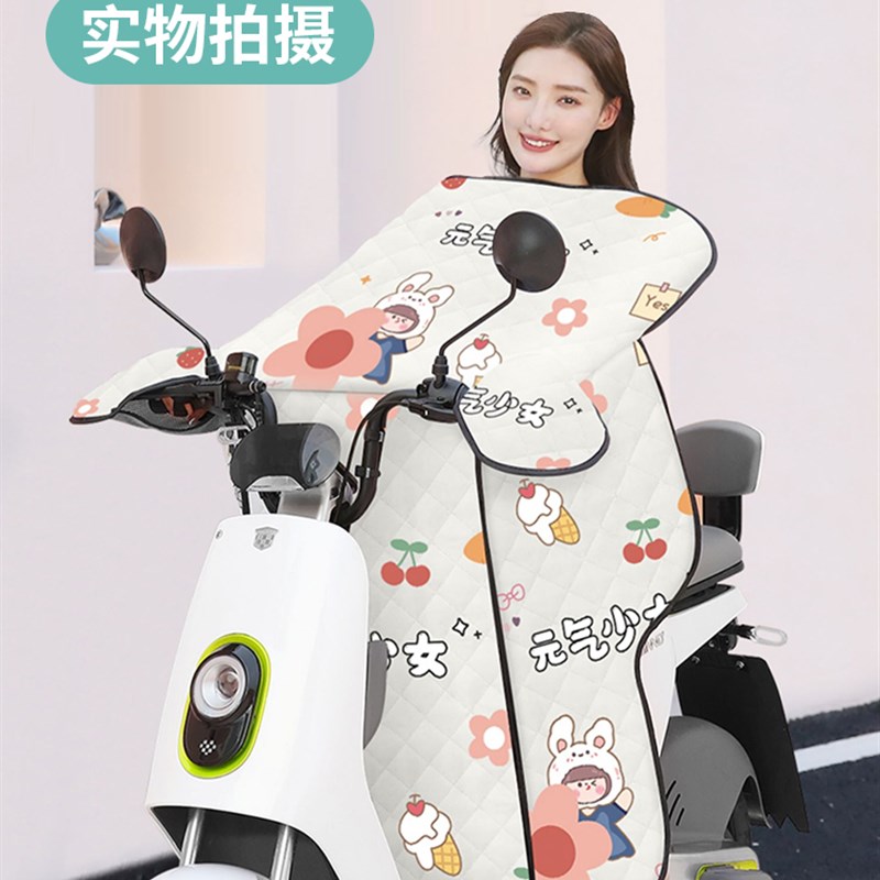 立马CG1电动车挡风被冬季电瓶摩托车夏季四季通用加绒加厚防风罩