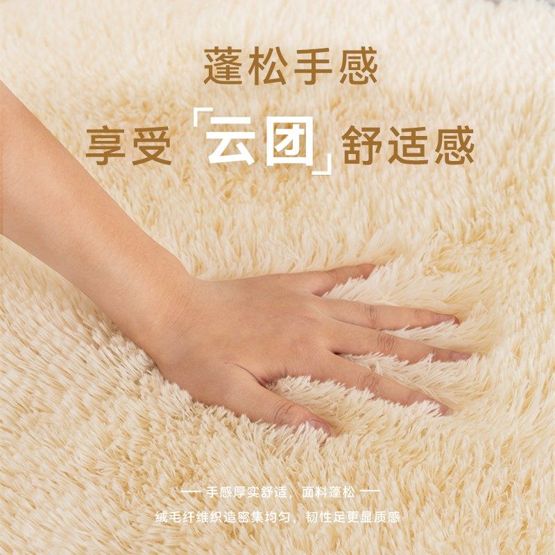 冬季白色地毯卧室床边毯奶油风毛绒加厚客厅拍照饰毛毯地垫