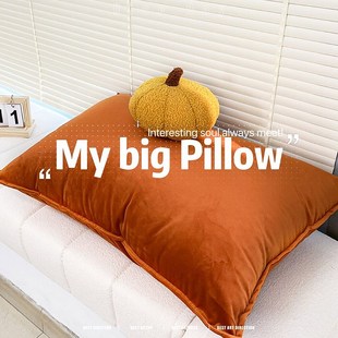 大号抱枕沙发客厅天鹅绒腰枕靠枕沙发靠背垫家用床头飘窗大靠垫