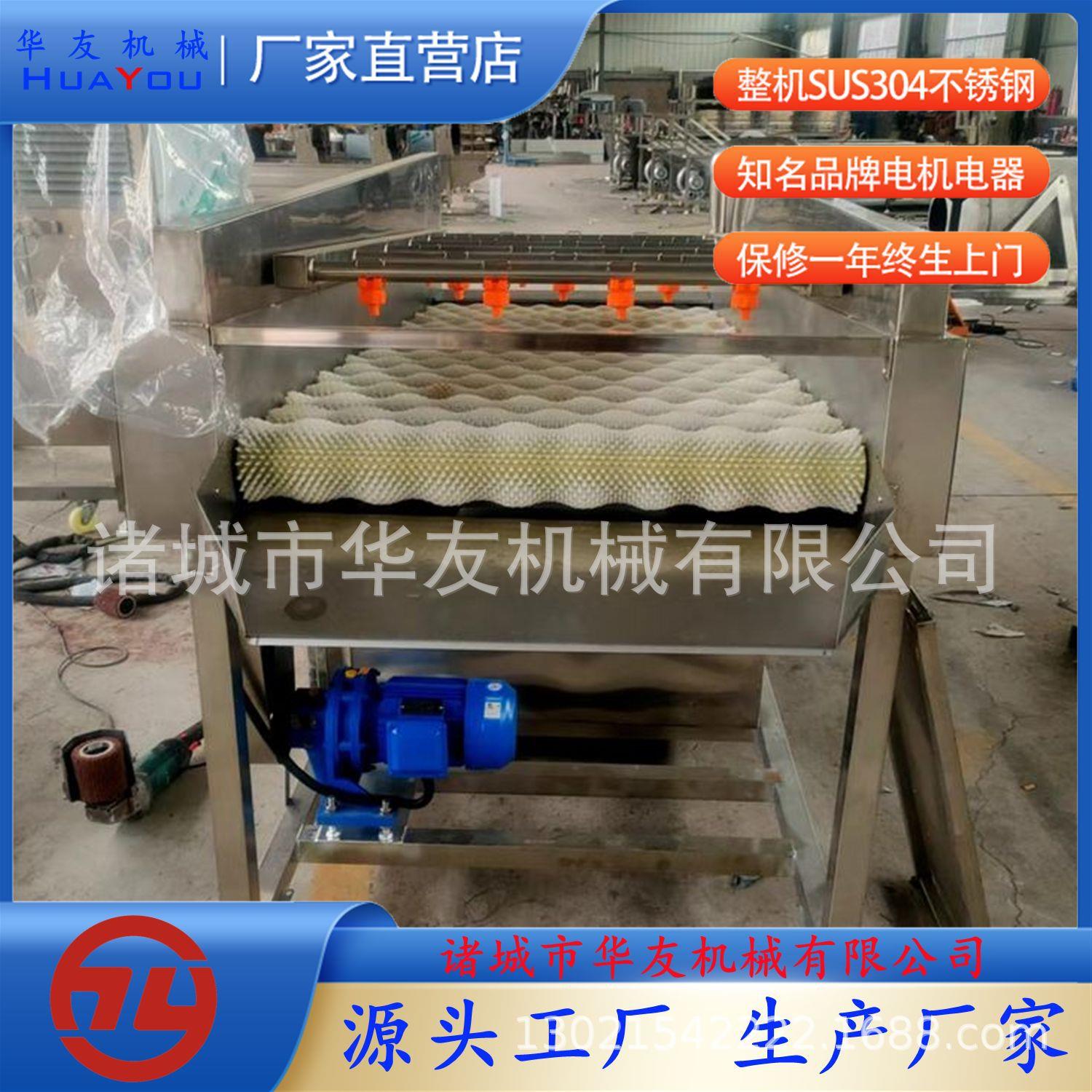 海蛎子平行毛辊清洗机贝壳类全自动毛刷清洗机平行毛刷清洗设备