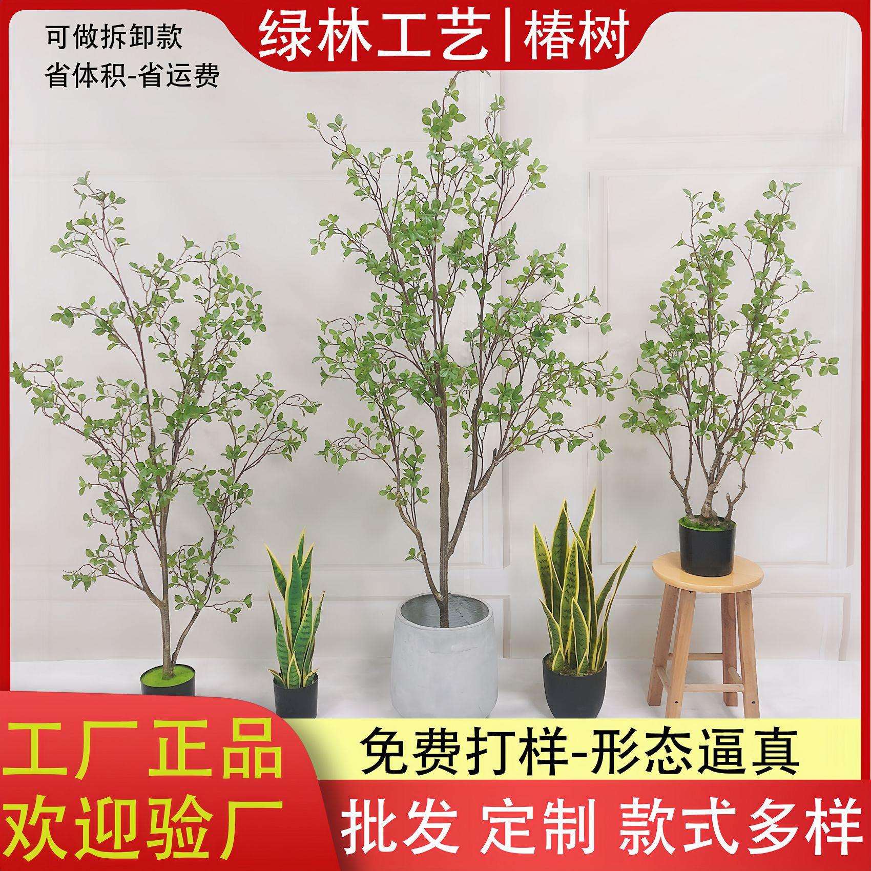 仿真椿树高档美式加密款落地植物橄榄树盆景摄影道具装饰盆栽