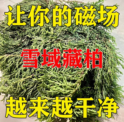 西藏直发 藏柏香供火供新鲜柏香枝藏地树枝香薰料天然香柏香正宗