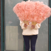 半径大号鸵鸟羽毛扇子肚皮舞蹈酒吧表演道具羽毛绒大扇子