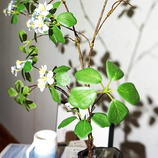 仿生绿植观音莲叶落地大树枝马醉木玻璃花瓶客厅玄关柜树叶仿真花