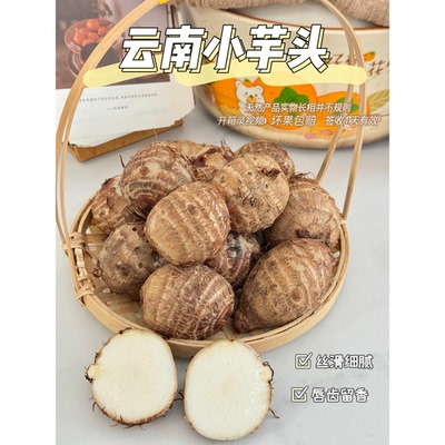 无污染云南纯天然小芋头