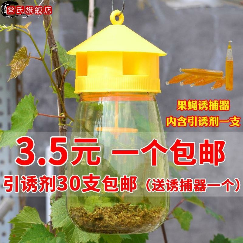 果蝇诱捕器果园菜地瓜果实蝇针蜂果蝇引诱剂内含捕抓器诱剂包邮