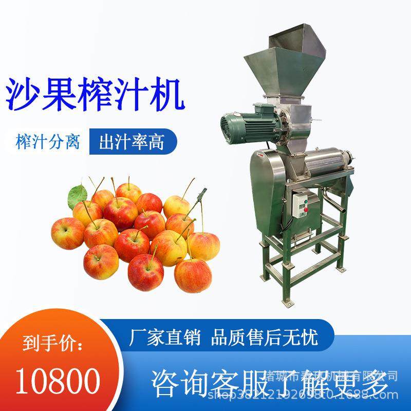 沙果破碎榨汁机商用刺梨榨汁设备杏子去核打浆机石斛螺旋挤压机,厨房电器,其他商用厨电,淘宝优惠券,粉丝福利购,淘宝优惠卷