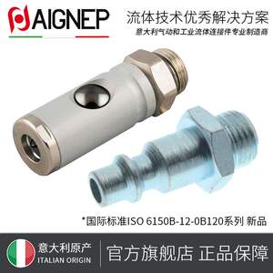 意大利安耐AIGNEP 铜镀镍 MIGNON标准快换接头 直外螺纹公头0B121