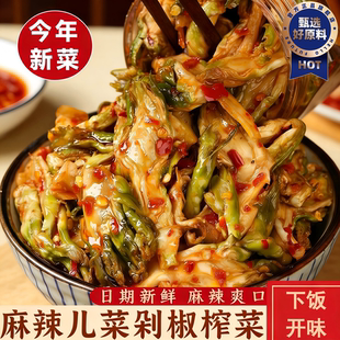 四川儿菜新鲜香辣儿菜四川湖南特产麻辣儿菜干腌菜榨菜咸菜下饭菜