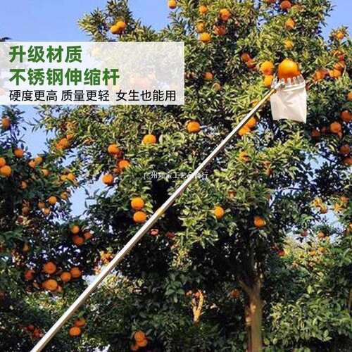 摘水果神器摘柿子高空伸缩杆摘果神器新款采摘柿子工具网兜摘果器