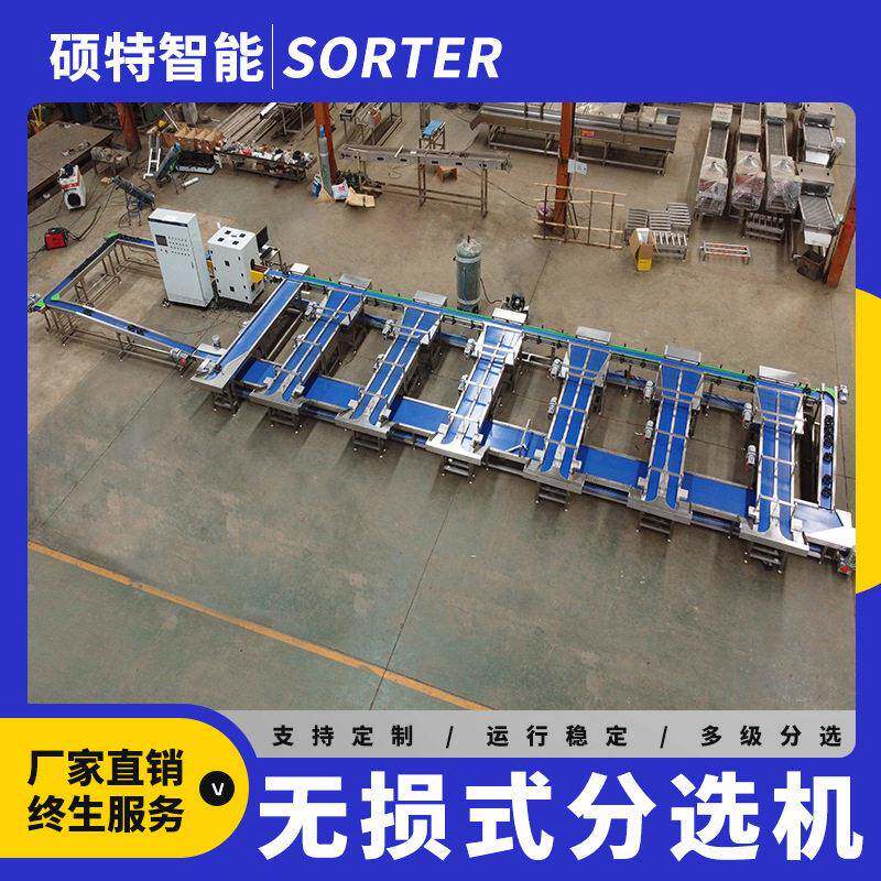 蜜瓜香瓜呵福式选果机 苹果梨无损内部检测分选机 石榴重量分拣机