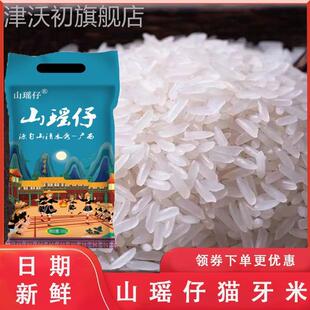 山瑶仔猫牙米2024新米农家大米广西长粒香丝苗软米虾田猫牙旗舰店