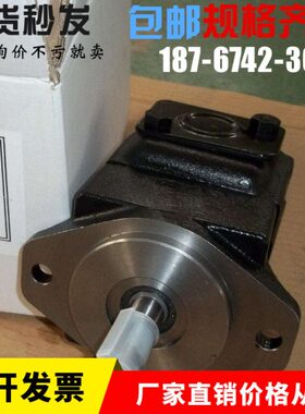 6T1T丹 1L型号 100B0齐全C  0 现货 16C0油泵叶片泵尼逊10RB018