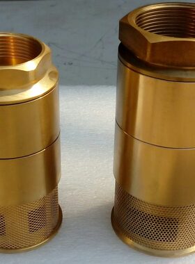 底40/油罐阀铜配件阀NDN50铜D过滤网止回阀管道底加油机双门