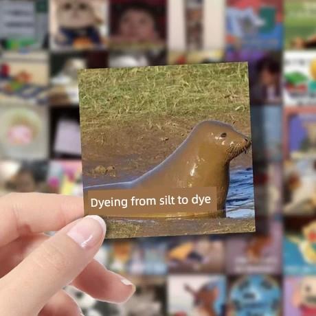 精神状态贴纸700发疯文学表情包贴纸搞笑女趣味创意DIY装饰贴画