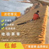 环保密度仿真茅草瓦阻燃地毯式 塑料草假稻草凉亭木屋农家乐