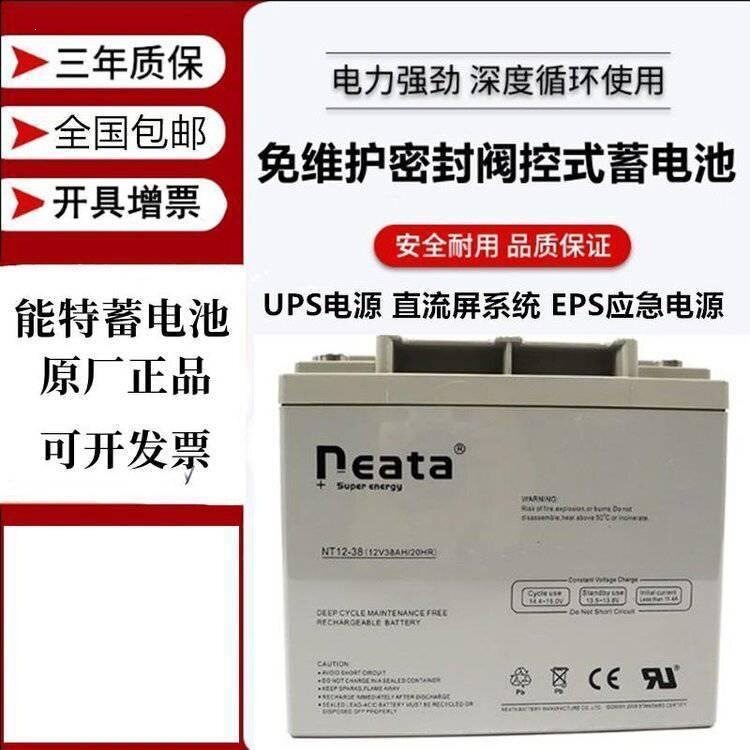 能特蓄电池NT12-38NEAVH图片