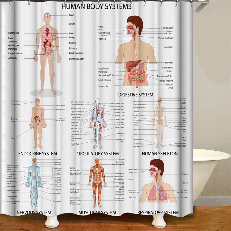 科普趣味化学元素周期大表 谢耳朵涤纶布防水防霉浴帘9尺寸