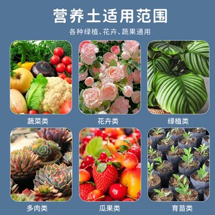 船长花园营养土家用养花种菜专用土多肉盆栽通用型园艺种植花土壤