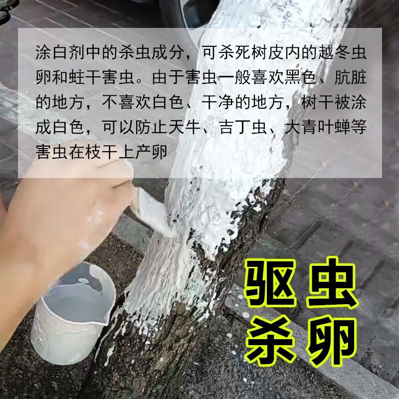 大树涂白剂卉小白树干涂白粉行道树刷白剂小区涂干腻子粉果树涂白