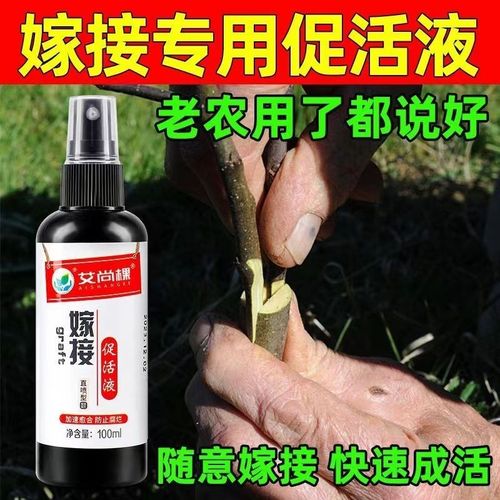 IEO树木嫁接伤口愈合剂树枝干盆景绿植树皮涂膜剂果树切口修复