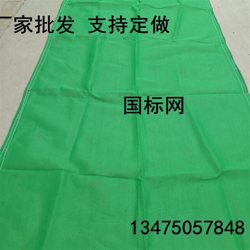 国标密目式安全立网平网防坠防护建筑网聚乙烯原生料绿色蓝色厂家