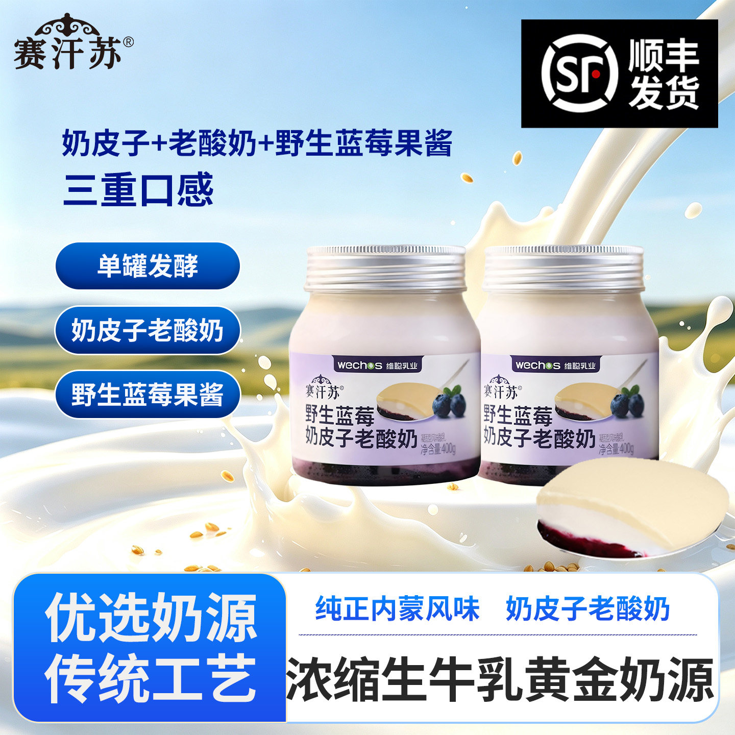赛汗苏奶皮子酸奶水果口味400g