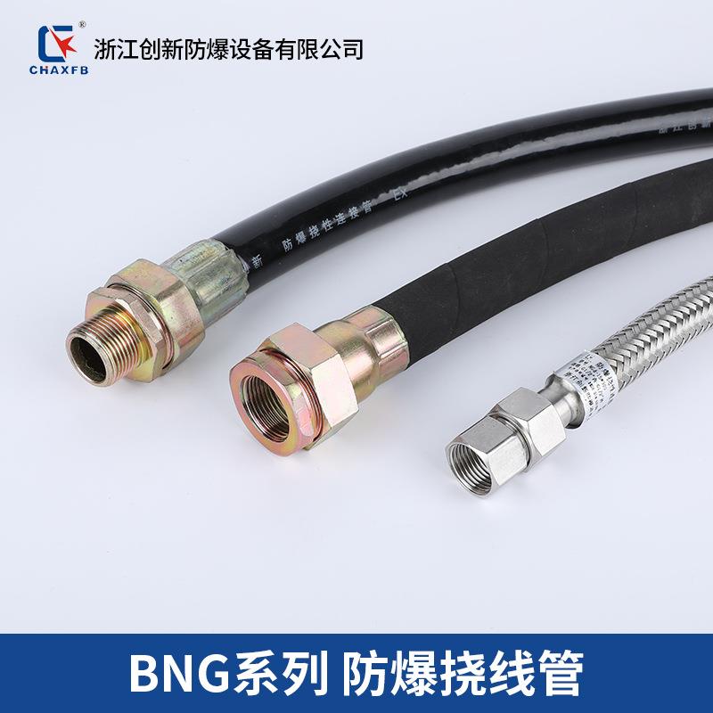防爆挠性连接管不锈钢防爆管BNG-DN15/20/25金属防爆管软管4分6分