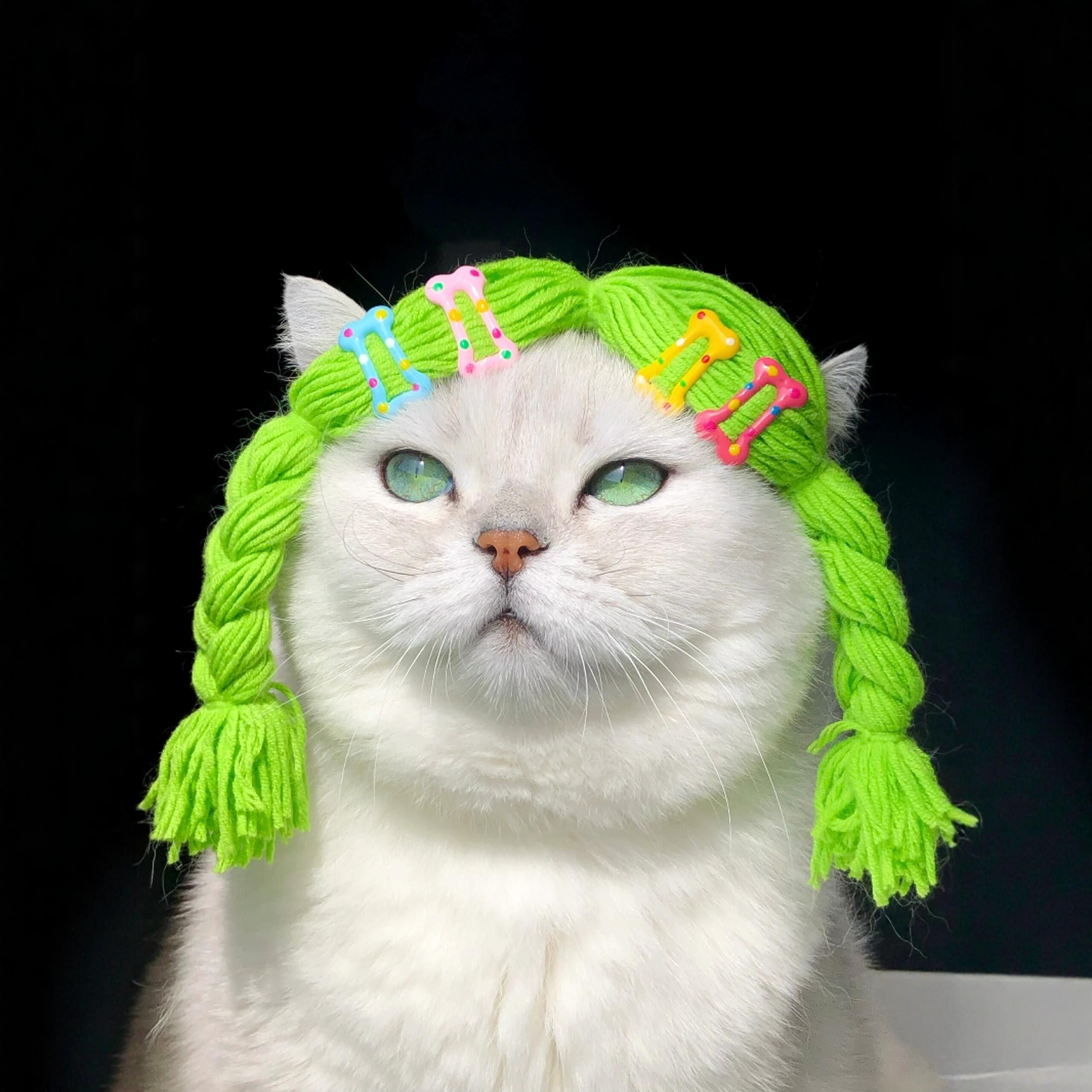 猫咪假发麻花辫子宠物发套头发配饰搞怪配饰狗狗拍照道具cos网红