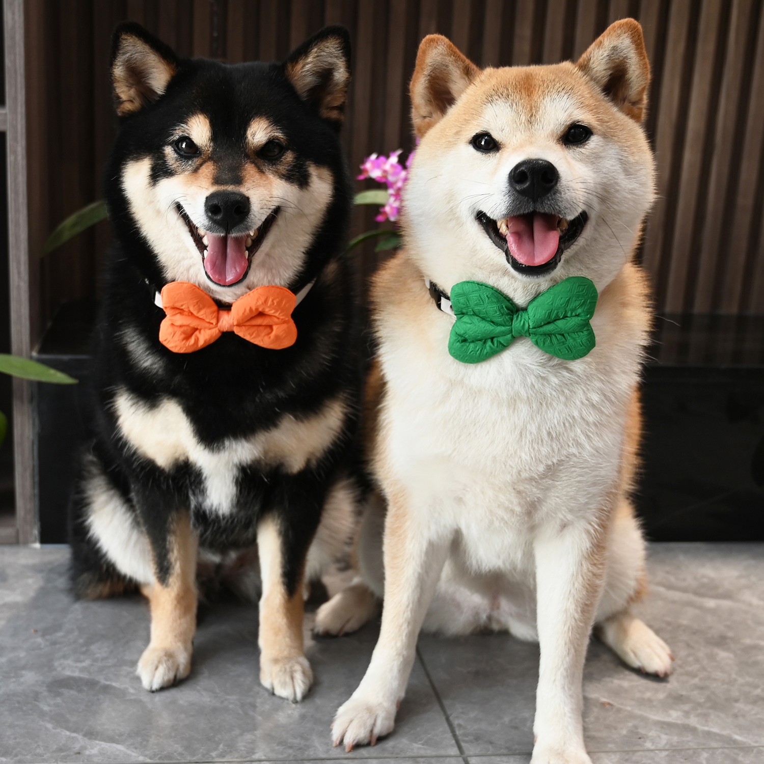 宠物狗狗猫咪柯基泰迪法斗柴犬蝴蝶结领结可调节脖圈领带配饰品