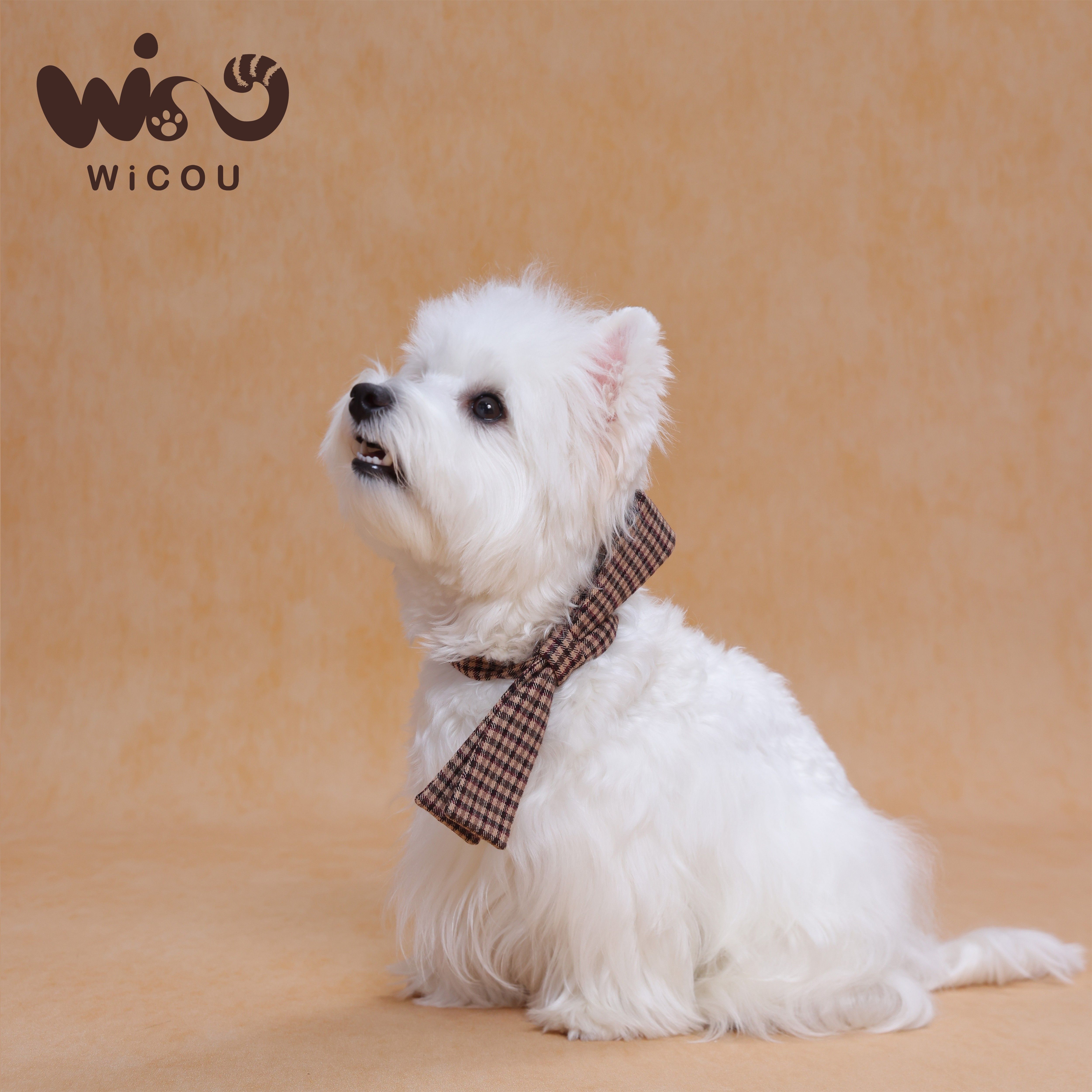 Wicou宠物时尚领结