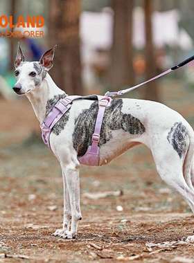 ZOOLAN背D狗30646狗胸牵引绳幼小中大型犬迪柯基比熊遛边牧博泰美