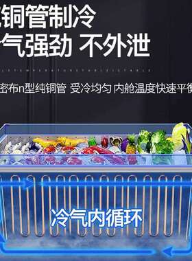 敞开式海冰台商用大鲜容量熟食沙56221冷保鲜冰柜风拉藏冷卧式展