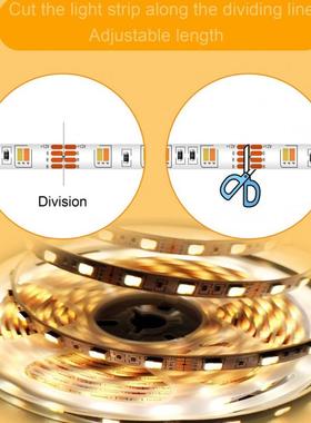 l光e双色灯d5050灯带套装带裸板不防水1Q20-双色2V调床底灯带