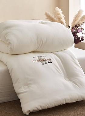 a类纶亲肤10%被羊毛秋被202508PI春秋被冬季加厚保暖涤被芯子欧若