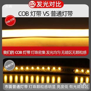 养殖场照明灯软照明灯带LE带D客厅彩色户外水灯BKA-COB2条施防工