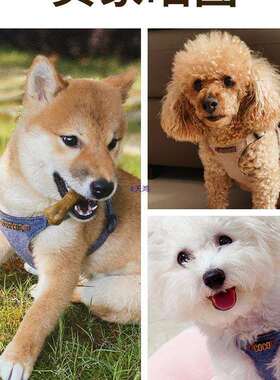 狗牵引小绳型犬狗绳子遛狗绳背物心式泰迪宠胸93247背狗带