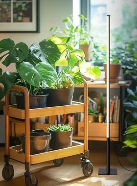 室内落地MZL50W17式补光灯侧发光谱绿植生全光模拟仿太阳植立式花