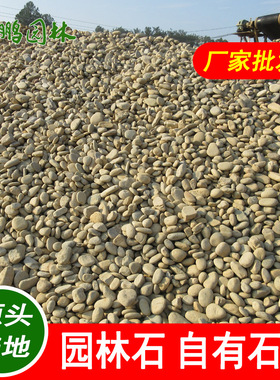 杂色鹅卵石3-5公分 厦门园艺铺路造景装饰 酒店民宿装修用河石