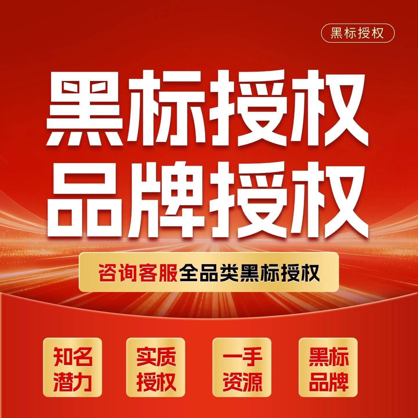 抖店成熟品牌专卖店专营品牌正品