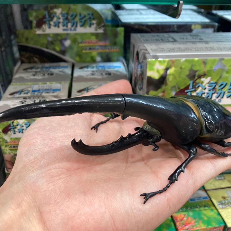 [漫星]预售日本SO-TA长