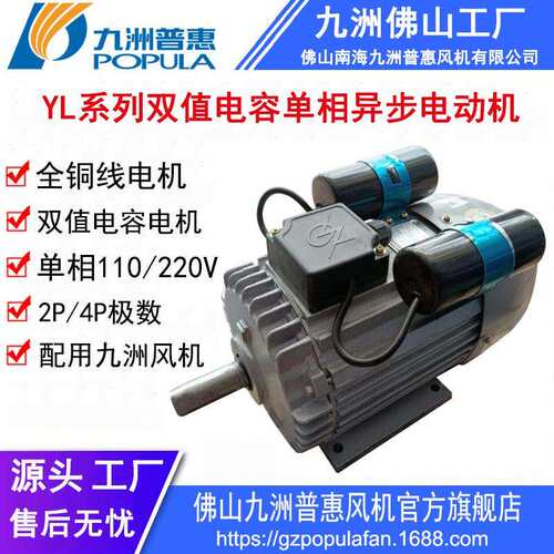 单相双值电容异步电动机 YL系列3kw 220V 全铜线马达九洲普惠电机