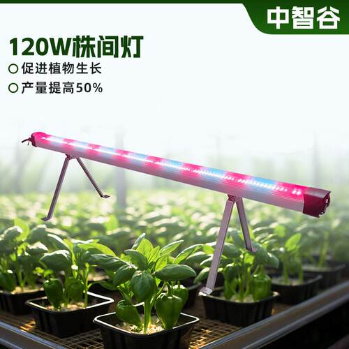 跨境120W株间灯UL全光谱红光植物生长灯Under Canopy Grow Light