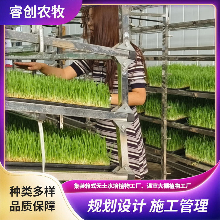 智慧水培方舱闲置房屋改造植物工厂房屋车库改造式无土栽培饲草