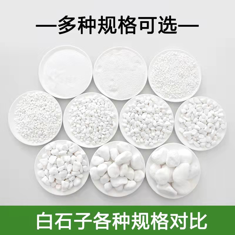 天然白色石子石头大小鹅卵石庭院铺路铺地小白石园林枯山水石子