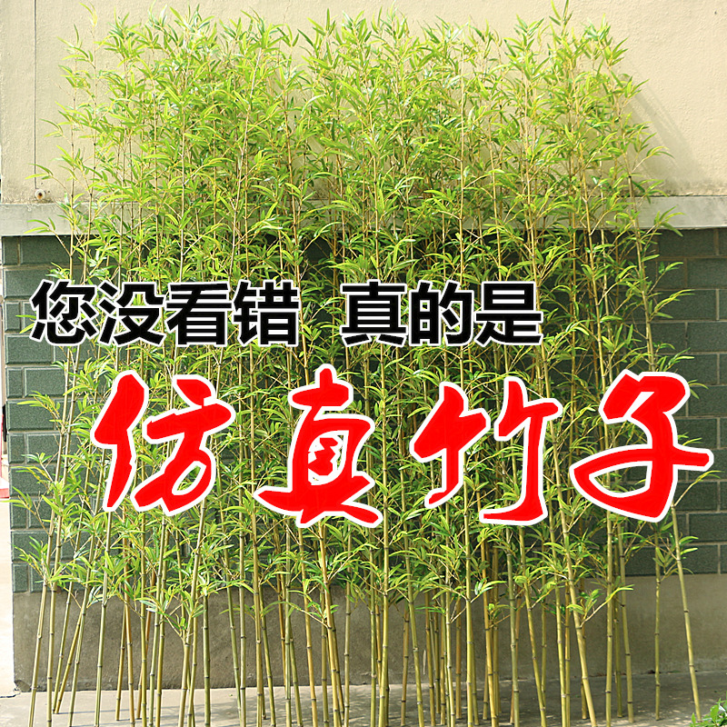 仿真竹子室内装饰隔断挡墙酒店造景屏风盆栽室外加密假竹子绿植物