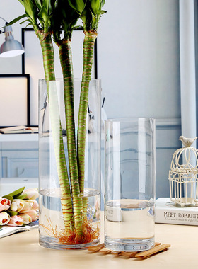 圆柱直筒玻璃瓶客厅橱落地欧式水培吊钟器